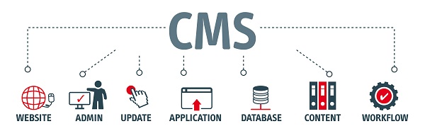 CMSの導入意義とは