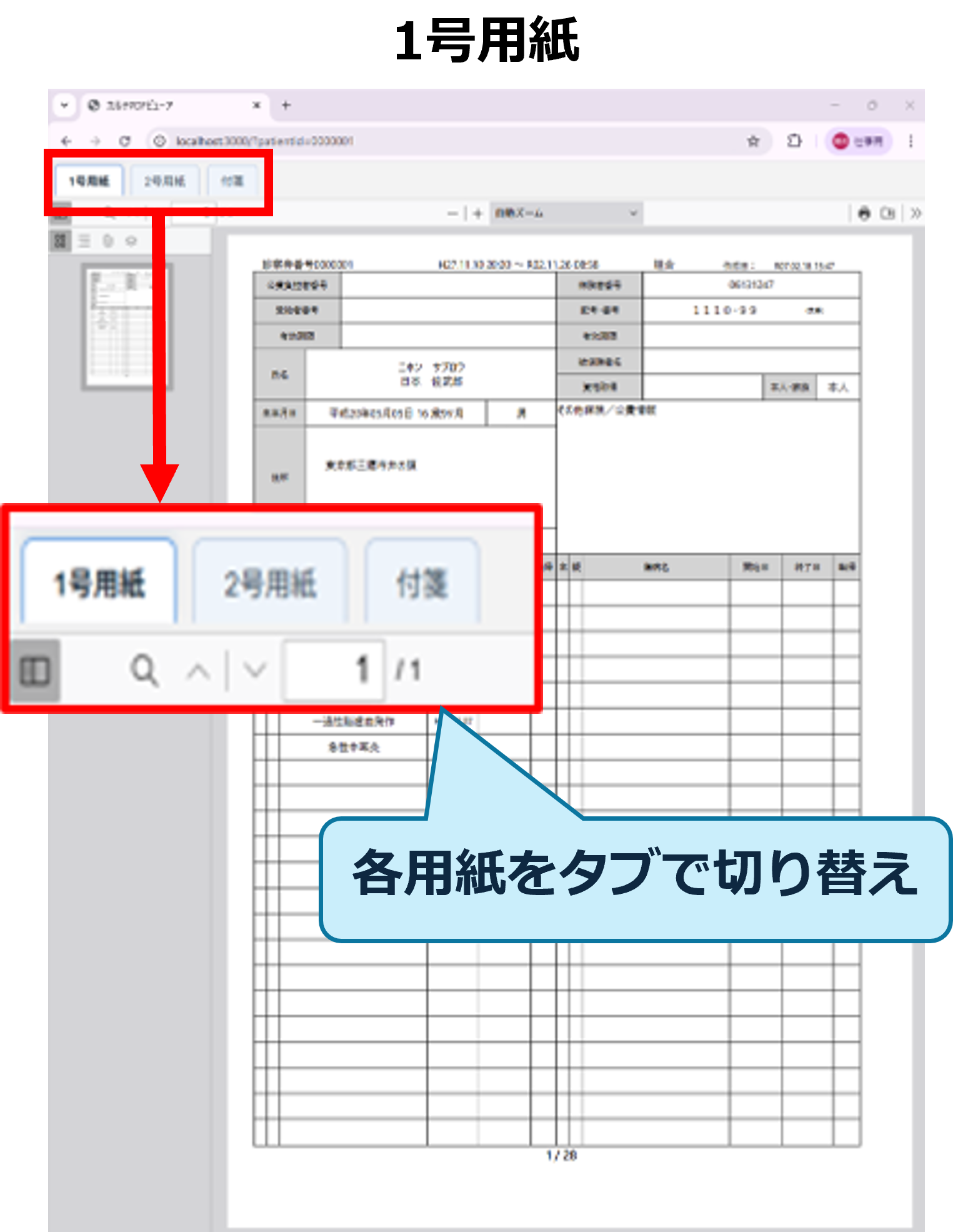 カルテビューア表示イメージ(1号用紙)